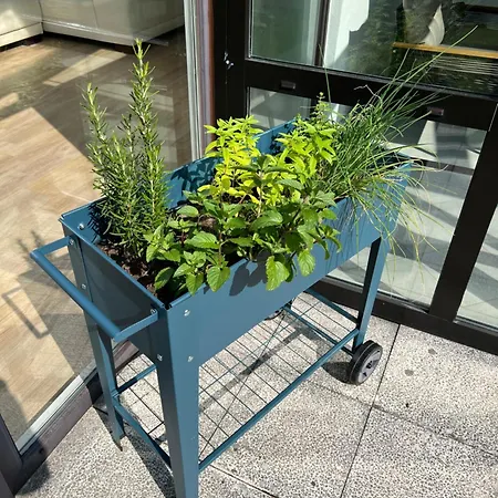 Steinwald-zeit 度假居 *